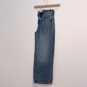 Everlane The Baggy Jean in Color Ricky